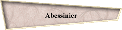 Abessinier