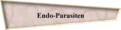 Endo-Parasiten