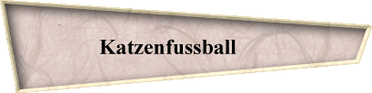 Katzenfussball       
